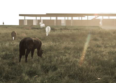 Charred Wooden Shingles and Cross-Laminated Timber Form a Sustainable Community Hub