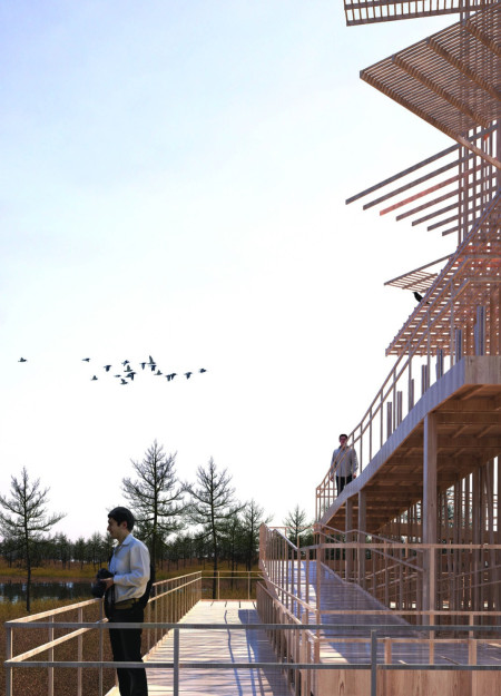 Lattice Observation Tower Embracing Softwood in Wetland Habitat