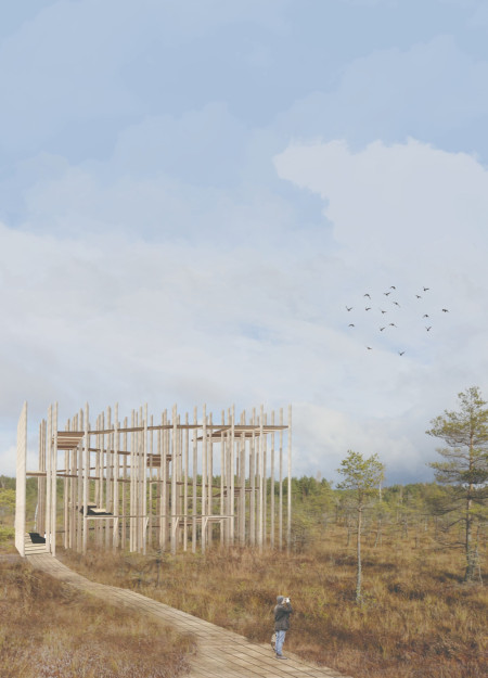 Exploring Nature Through Wooden Pillars and Organic Pathways