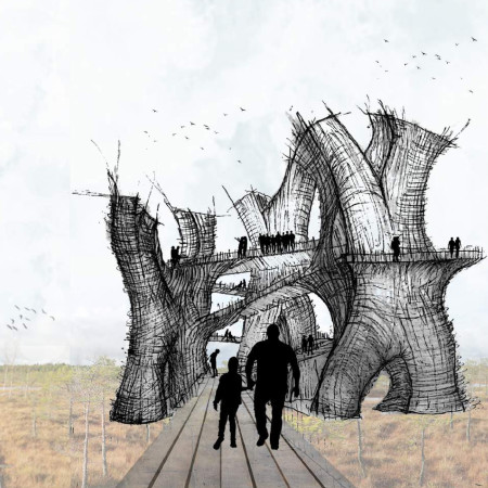 Natural Vegetation and Wooden Planks Forming an Integrated Bird Watching Landmark