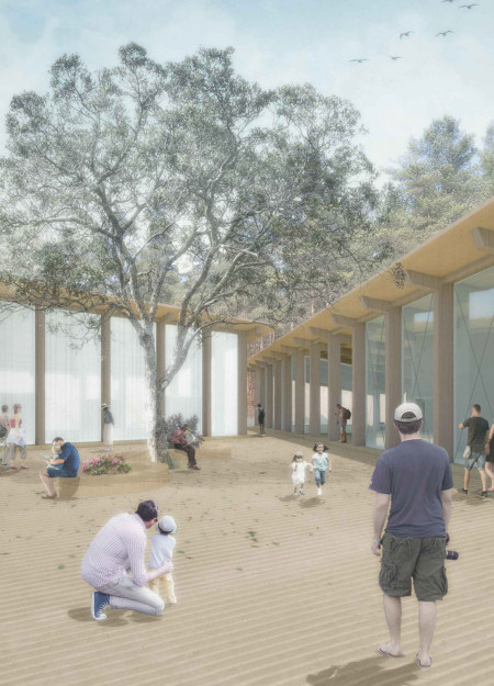 Wooden Pathways Connecting Three Pavilions in a Nature-Focused Visitor Center