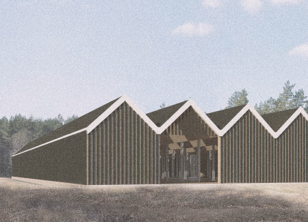 Embodying Mythology Through Geometric Forms in a Bog Landscape