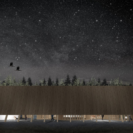 Organic Forms and Open-Air Spaces in a Visitor Center Among the Bogs