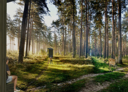 Trombe Wall Cabin with Natural Wood Interior and Outdoor Reflection Space