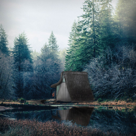 Desaturated Hay Roof Embracing Tranquility in a Wooded Sanctuary