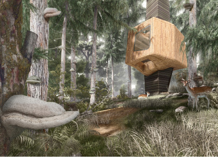 Elevated Meditation Cabins Crafted from Lamellar Wood in a Coniferous Forest