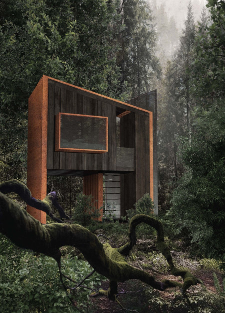 Charred Wood Elevation Enhancing Forest Immersion for Mindful Retreat