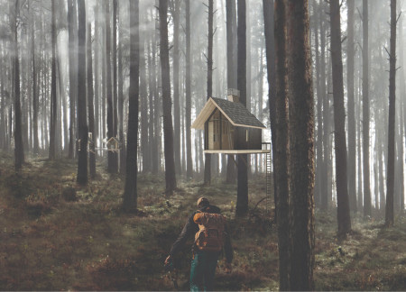 Elevated Retreat Crafted from Charnel Wood with Natural Insulation in a Serene Forest Setting