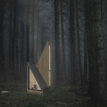 Timber Retreat with Undulating Roofs Overlooking Forest Views