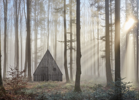 Natural Wood Retreat with Embraced Void and Round Window