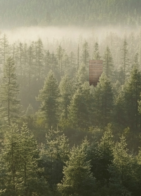 Vertical Cabin Framed by Coniferous Trees in Sustainable Wood Design