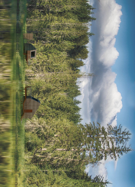 Elevated Retreat with Coated Steel and Red Fir Harmony