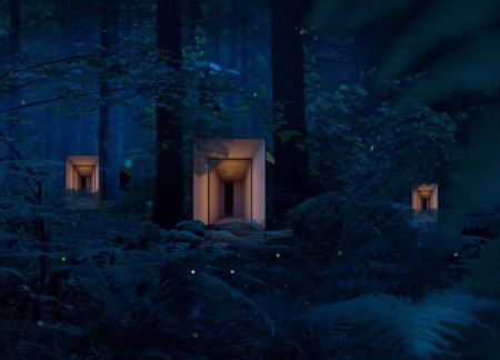 Charred Wood and Thatch Cabin Blending with Forest Ecosystem