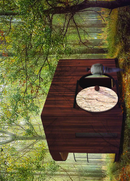 Charred Maple Cladding with Cedar Accents in a Forest Meditation Retreat