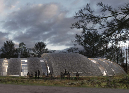 Elevated Timber Structure Embracing Natural Landscapes