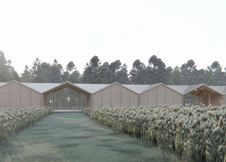 Natural Pine Modules Interacting with the Bog Landscape