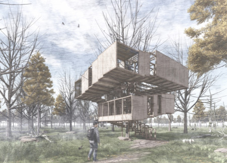 Trees Enveloped in Wood Creating an Immersive Meditation Retreat