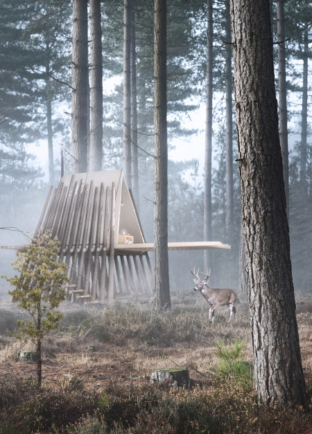 Elevated Wooden Retreat Hidden in the Forest