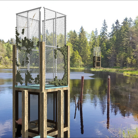 Curvilinear Spaces That Capture Light and Airflow