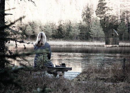 Elevated Cabins with Dark Wood Facades and Harmonious Lake Views