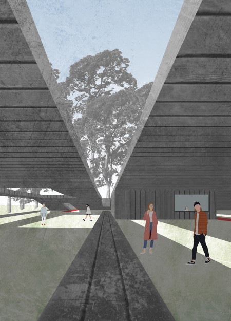 Wooden Paths Winding Through a Dynamic Green Roof Visitor Center