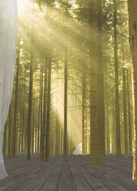 Spiral Curtain and Shou Sugi Ban Wood Shelter for Meditative Retreat