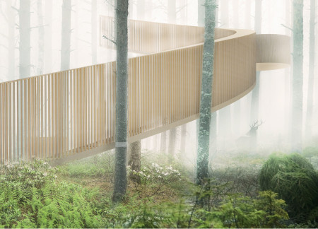 Elevated Pathway of Local Wood Connecting Forest to Lake