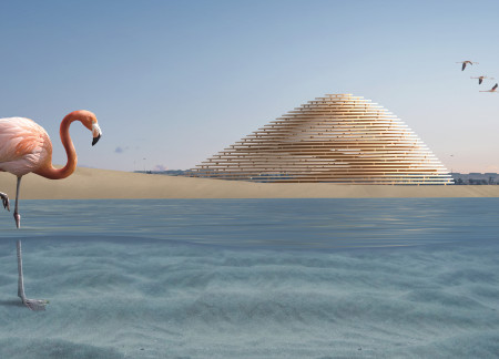 Timber Structures Embracing Dune Forms for Wildlife Observation