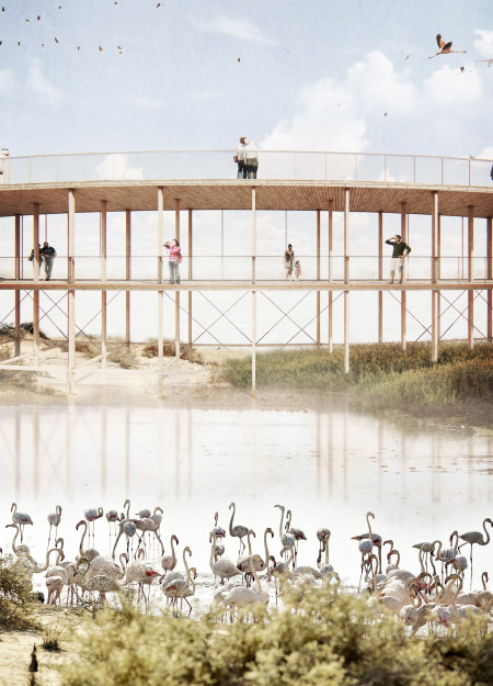 Lapacho Walkway Elevating Views in a Sustainable Natural Setting