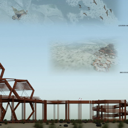 Hexagonal Timber Structure Enhancing Birdwatching Through Thoughtful Accessibility