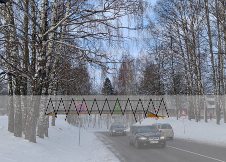 Hollow Trees and Decay Habitats in a Forested Wildlife Corridor