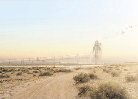 Embracing Avian Interactions Through Modular Pathways in a Natural Sanctuary