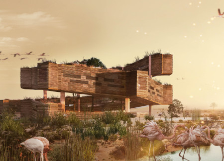 Elevated Viewing Platforms and Arboretum Crafted from Glulam and Clt