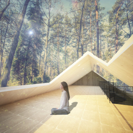 Play of Light and Texture in a Pine-Focused Retreat