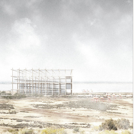 Mesh-Encased Observation Tower Integrating Timber and Steel in Wetland Setting