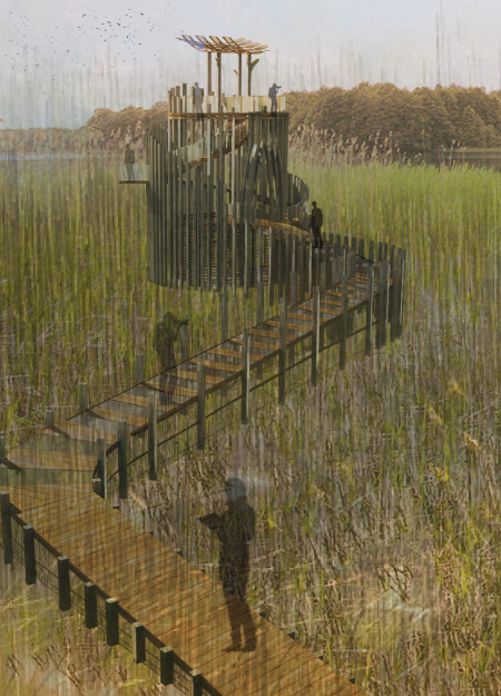 Fiberglass Composites and Ghaf Tree Integration in a Wetland Observation Space