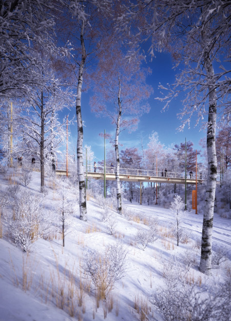 A Pedestrian Bridge Transforming Natural Contours with Glulam Timber
