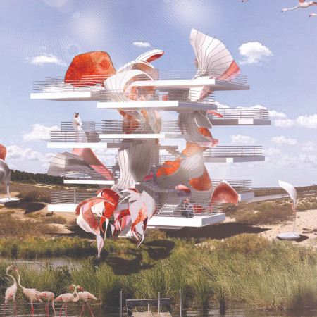 Suspended Shells and White Surfaces Enhance Observation of Migrating Flamingos