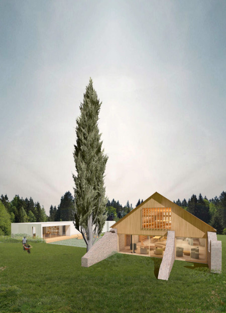 Nature Immersion Through Cross Laminated Timber and Community Spaces