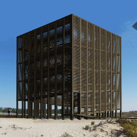 Elevated Platforms Within a Shaded Grove Featuring Timber Decking and Palm Canopies
