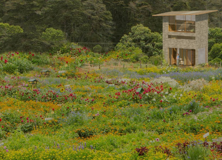 Compressed Earth Facade with Rainwater Collection in a Compact Woodland Residence