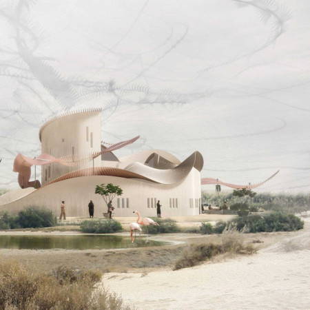 Capturing Flight Patterns with Pink and White Shading in a Wetlands Refuge