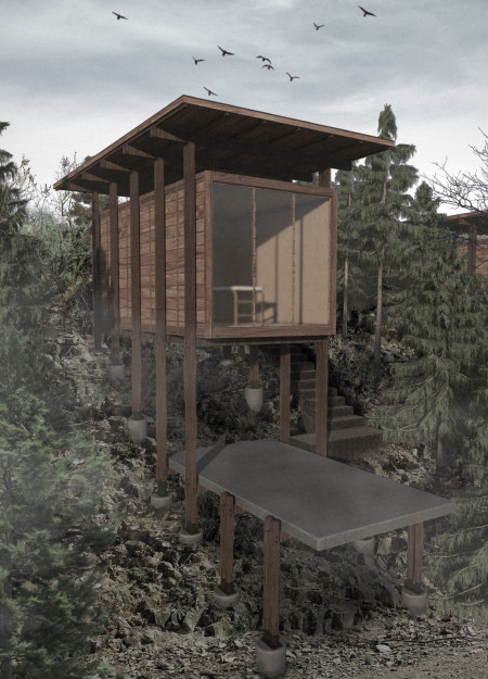 Terraces of Wood and Greenery for Reflective Nature Retreat