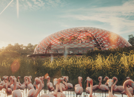 Curved Viewing Deck with Photochromic Material in an Ecological Setting