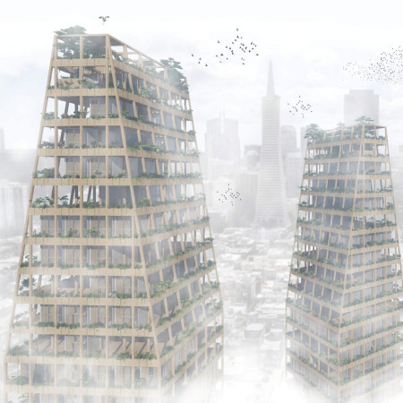 Vertical Circulation and Community Spaces Enhanced by Cross Laminated Timber