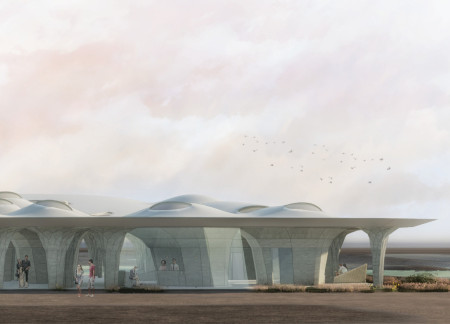 Elevated Canopy Structure with Concrete Nodes Enhancing Ecological Engagement