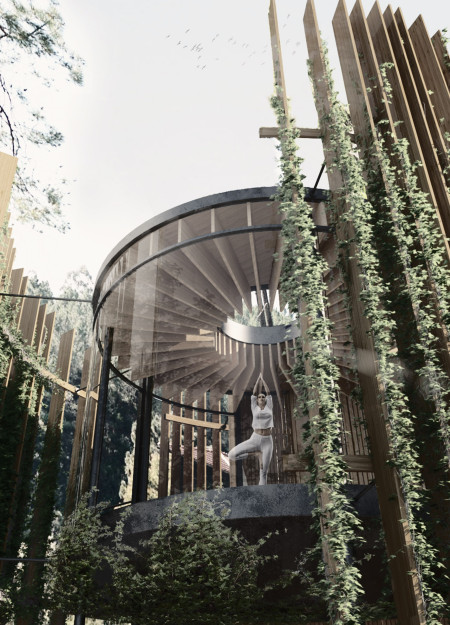 Rainwater Nourished Spaces Harmonizing Wood and Nature