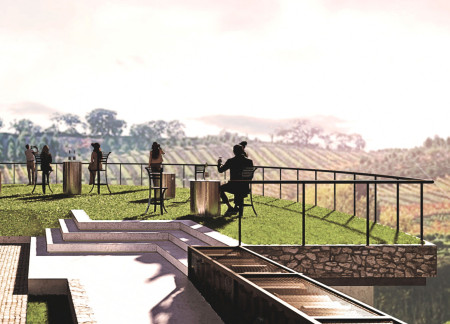 Oak Walls Framing Panoramic Vineyard Views in a Semi-Underground Tasting Space