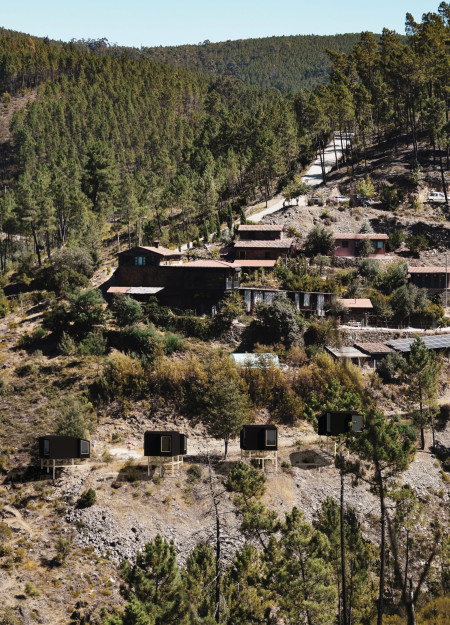Charred Pine Cabins Embracing Valley Views for Mindful Meditation