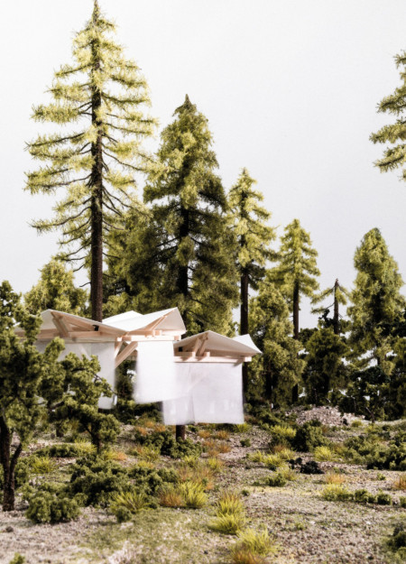 Canopy Structure Emphasizing Wood Harmony in Forest Exhibition Spaces